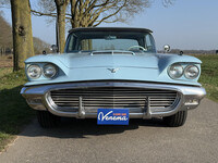 Thumb Image 1